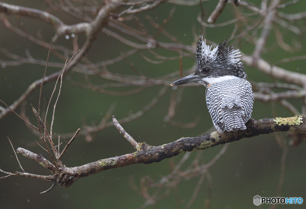 小雨そぼ降る中で