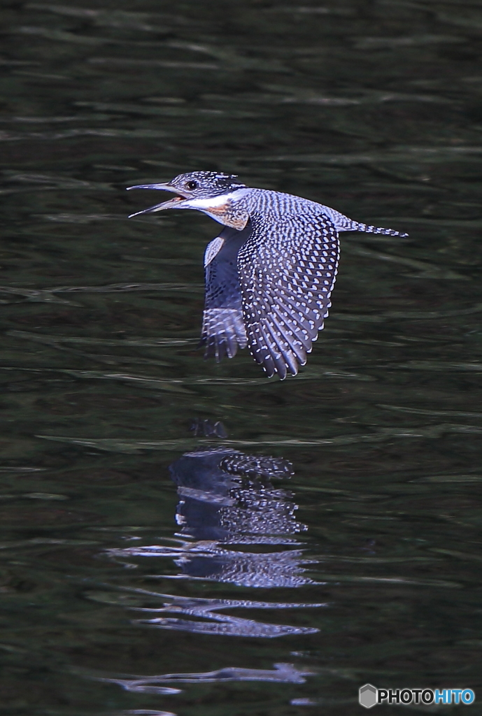 ちょっと通りますよ