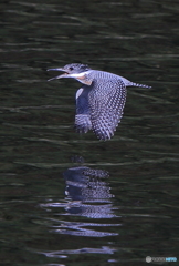 ちょっと通りますよ