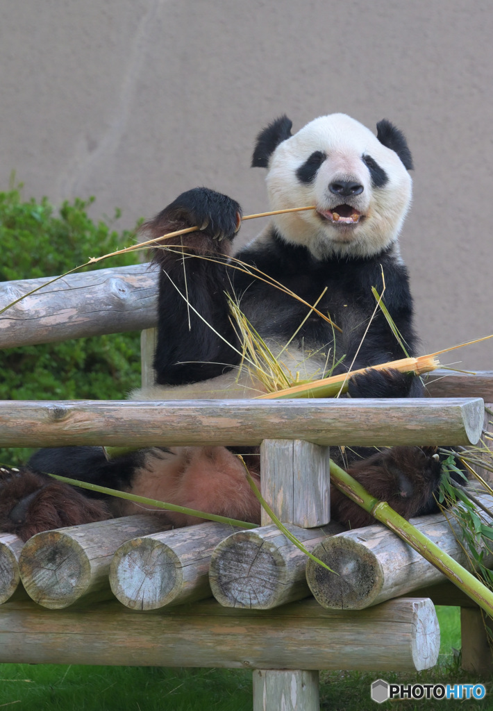 まだまだ元気な永明さん