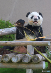 まだまだ元気な永明さん
