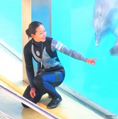 イルカとお姉さん⑧