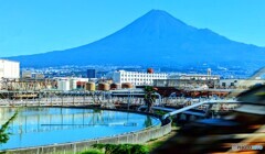 ８月の富士山