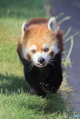 今日も元気