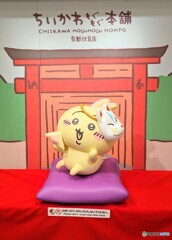 御本尊はうさぎですか？