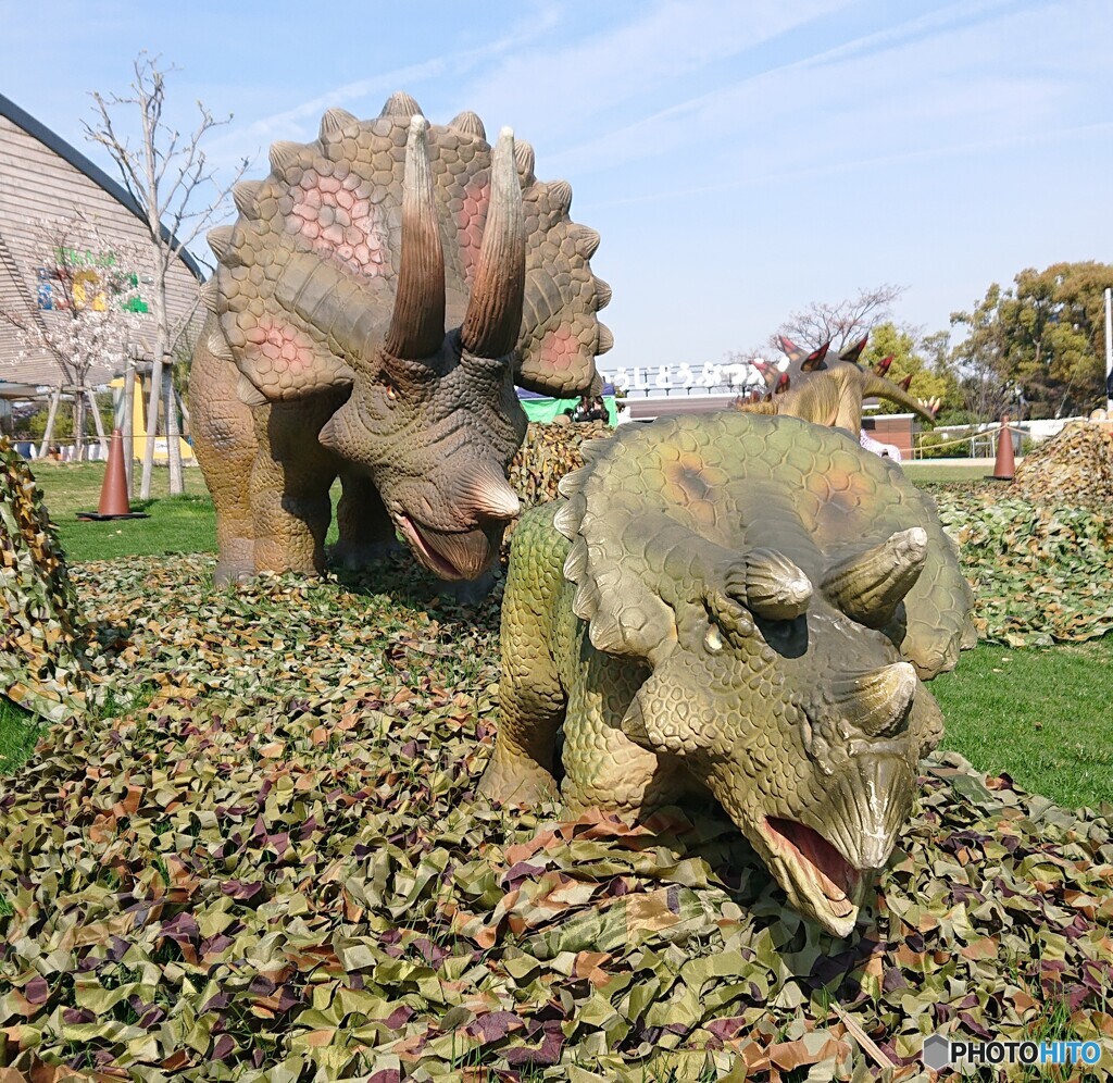 春のトリケラトプス