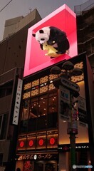 渋谷のパンダ