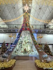 HAPのクリスマスツリー