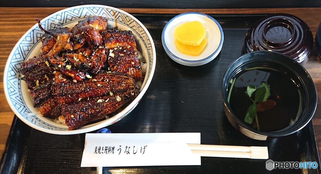 外食解禁はこのメニューで