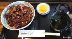 外食解禁はこのメニューで