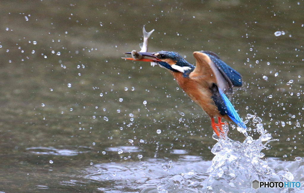 本日の浮上(20160305）