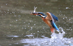 本日の浮上(20160305）