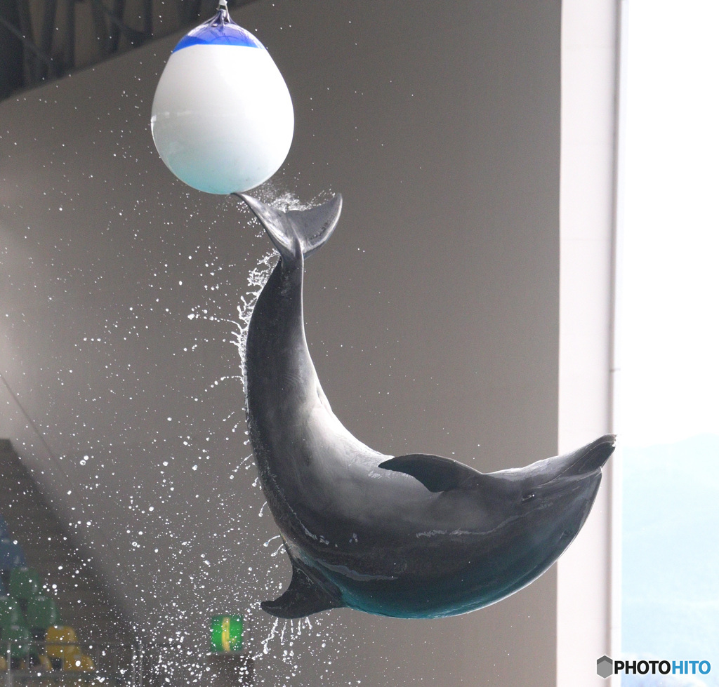 ボールをキック！