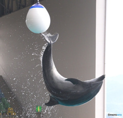 ボールをキック！