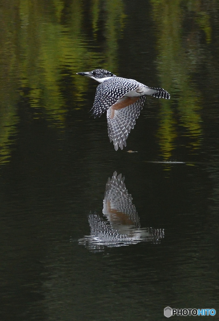 本日の水鏡(20161001）