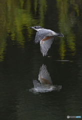 本日の水鏡(20161001）