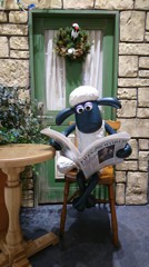 本日のヒツジさん