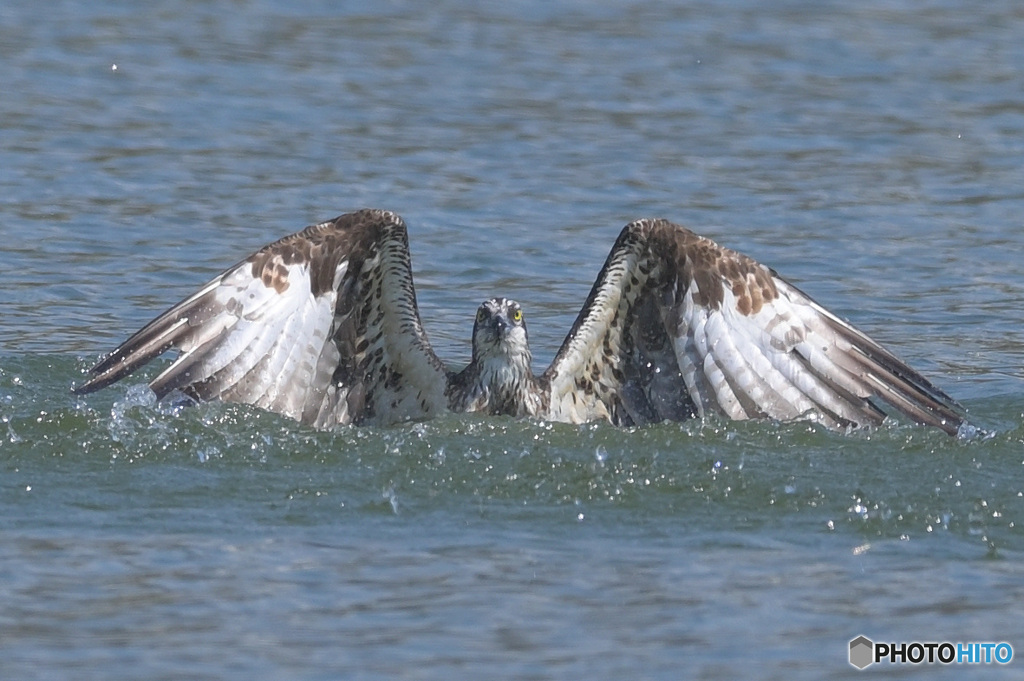 浮上！