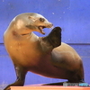 流し眼のキミ