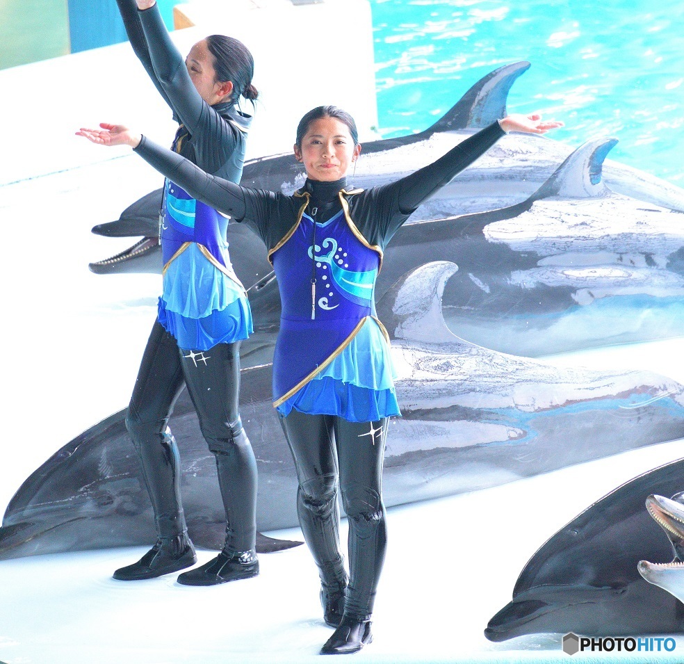 イルカ・ショウのお姉さんⅣ