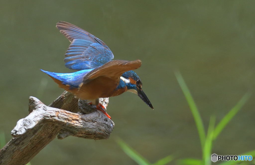 さあ、行くぞ～