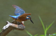 さあ、行くぞ～