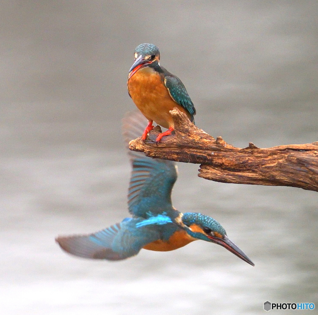 友達以上恋人未満ⅩⅣ