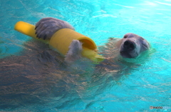 水風呂サイコー！