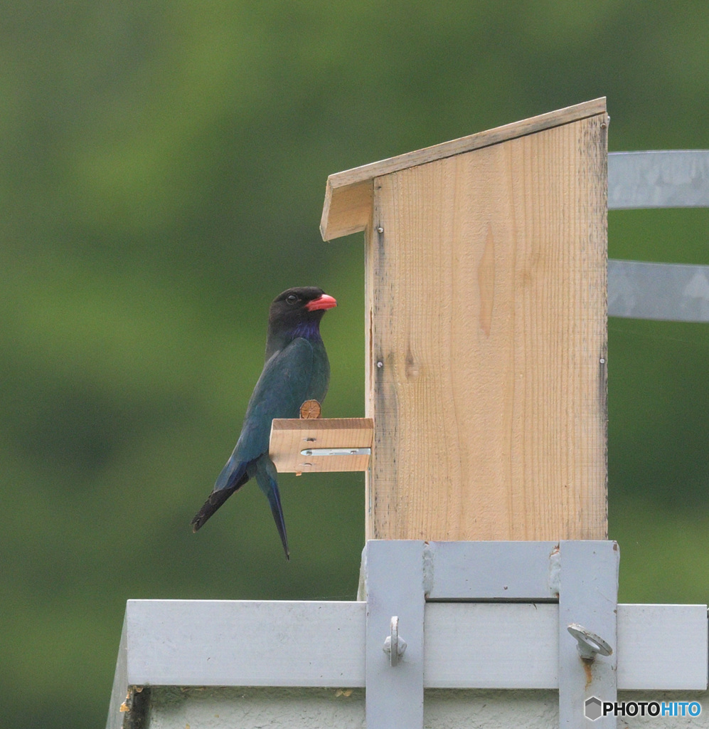 マイホームにて