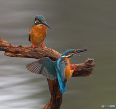 友達以上恋人未満