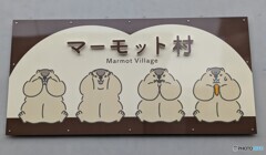 来ちゃった(>ω<)
