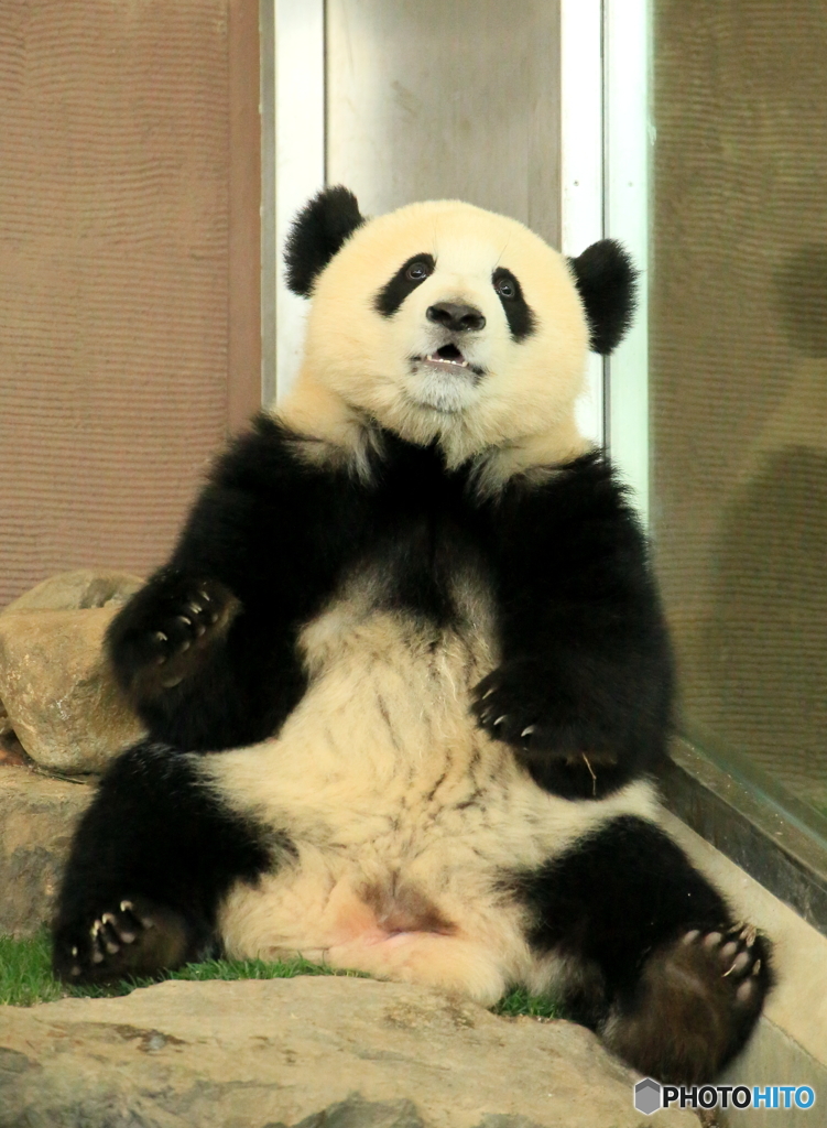 中のヒト、休憩中(^_^;)