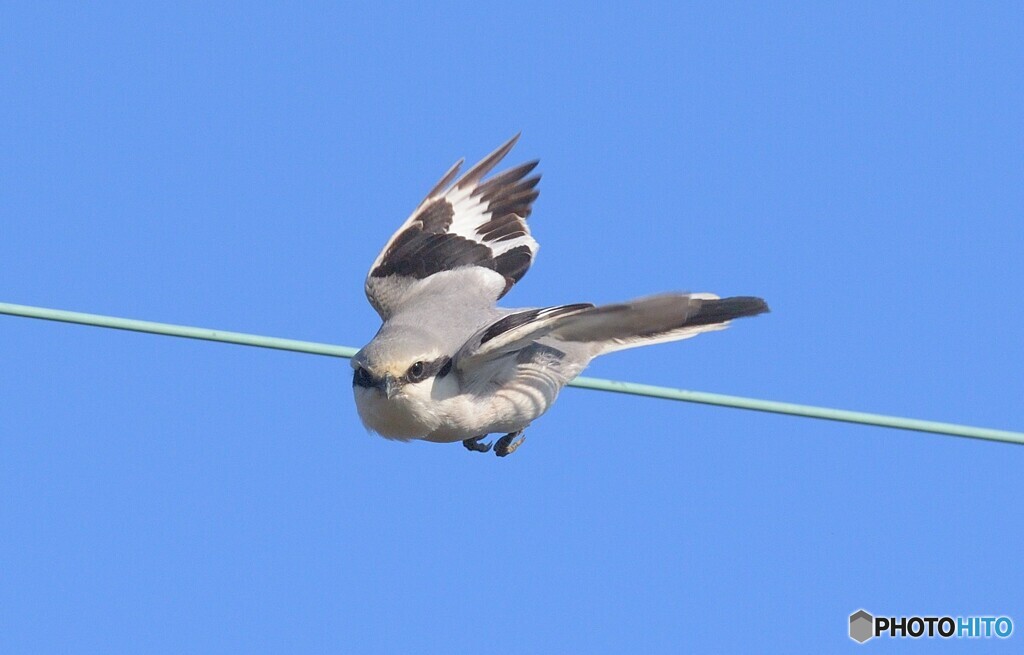 ワイヤーからの飛び出し