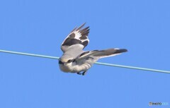 ワイヤーからの飛び出し