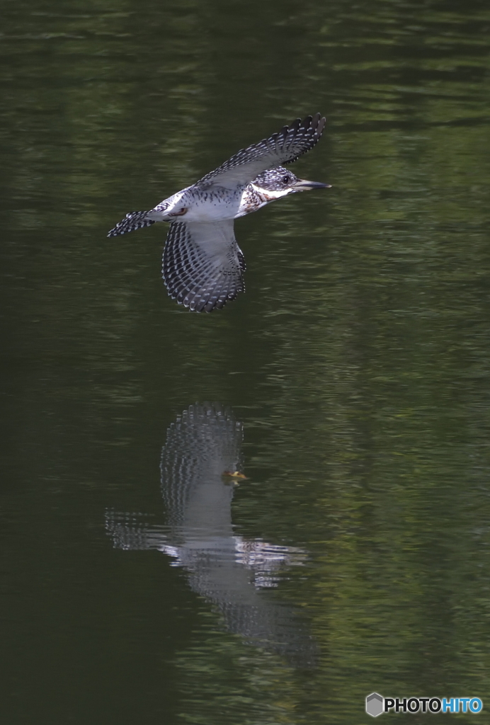 ローパス＆ターン