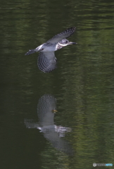 ローパス＆ターン