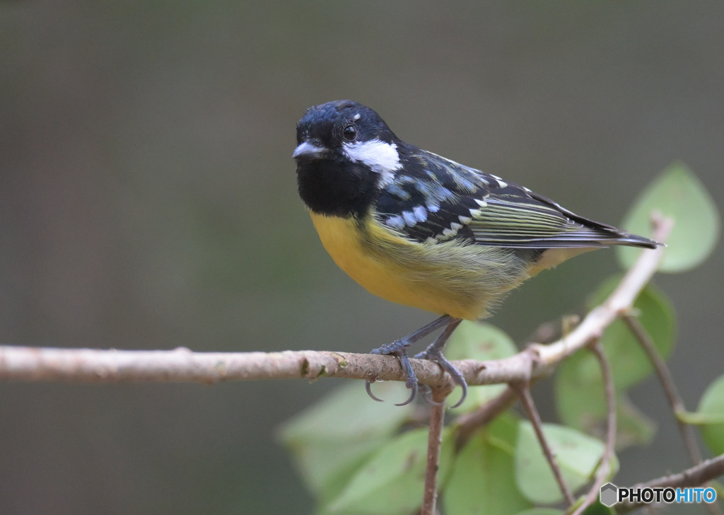 キバラガラ2023④