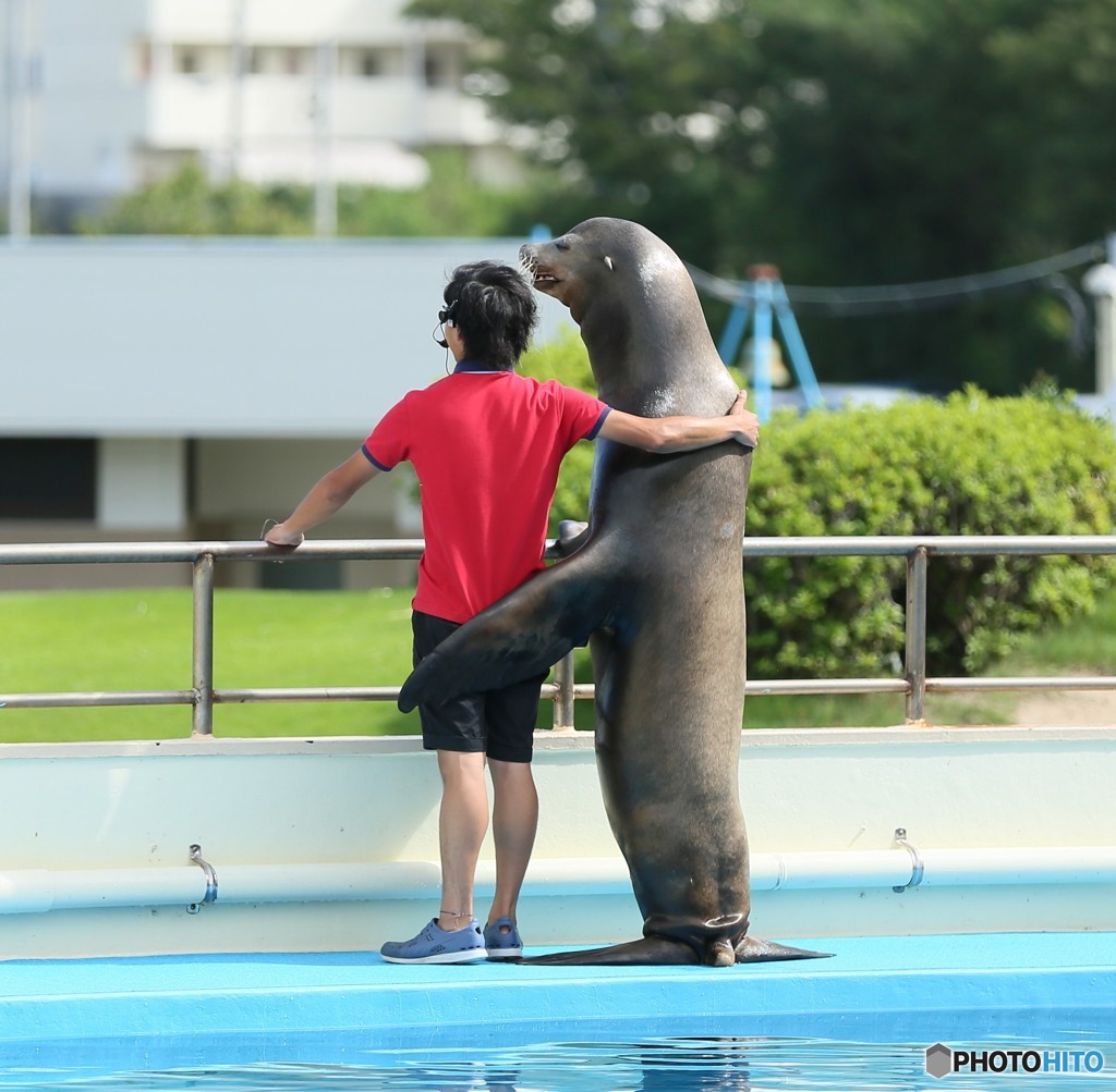 ふたりは名コンビ