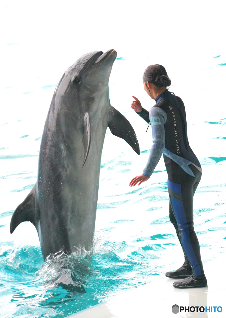 イルカとお姉さんⅢ