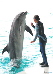 イルカとお姉さんⅢ