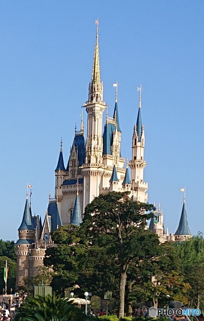 久しぶりのシンデレラ城