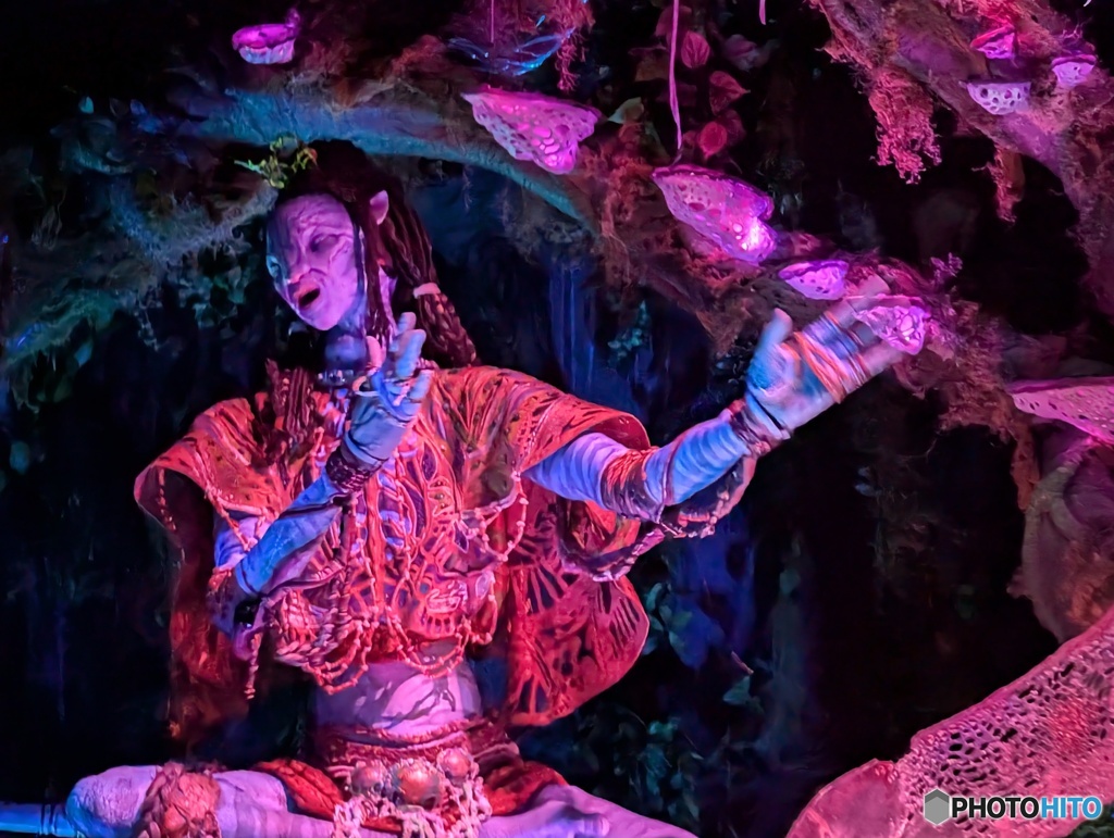 パンドラの呪術師