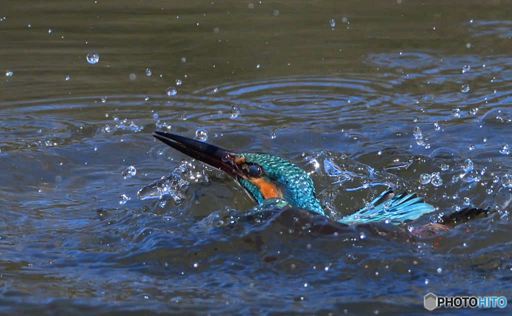 露天風呂のカワちゃん