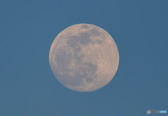 昨日の月