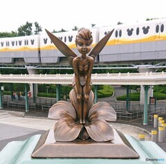 ティンカーベル