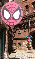 今日も元気なスパイダーマン