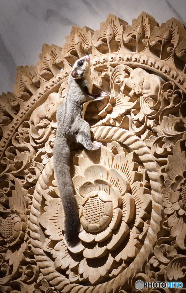 レリーフにモモンガⅡ