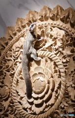 レリーフにモモンガⅡ