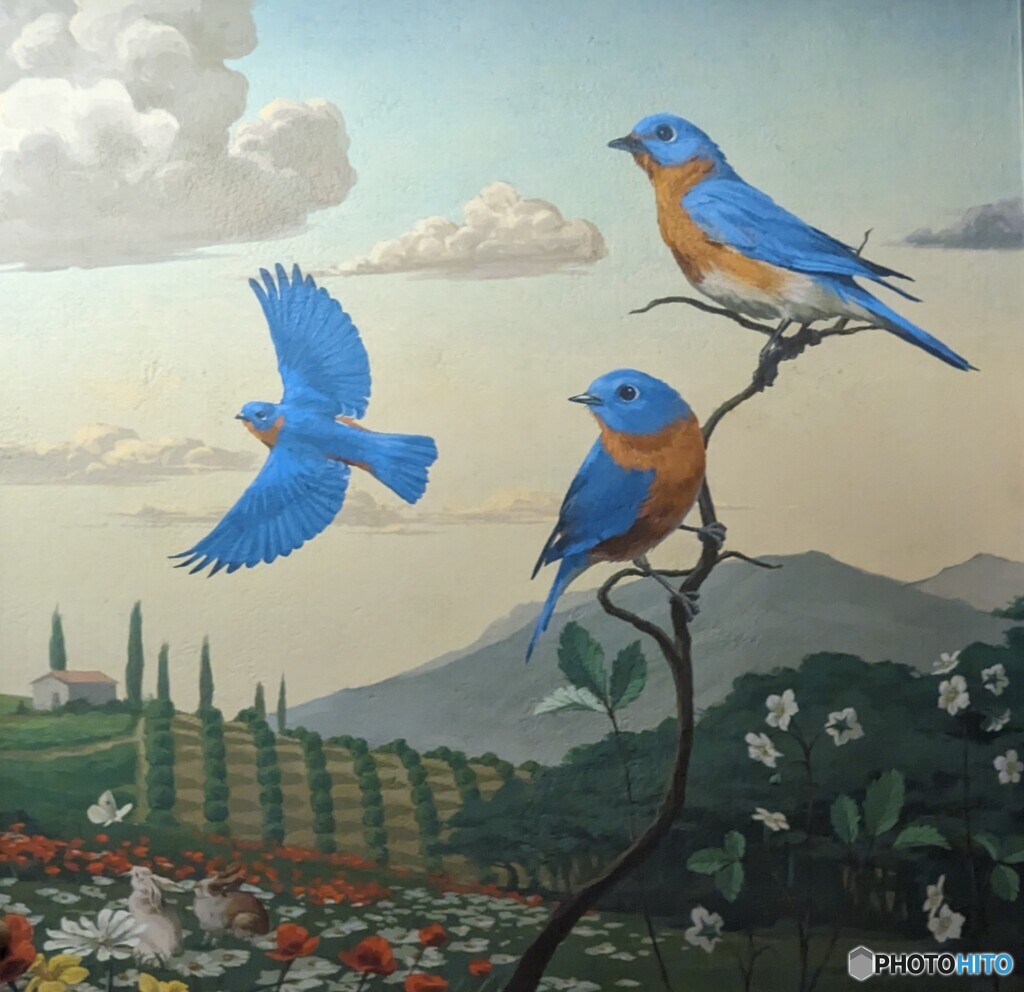 ソアリンを待ちながら