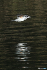 本日のローパス(20160312）